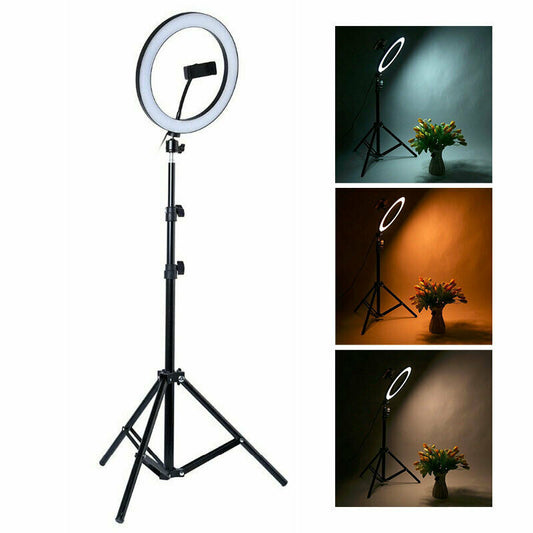 26cm Ring Light With Mobile Holder